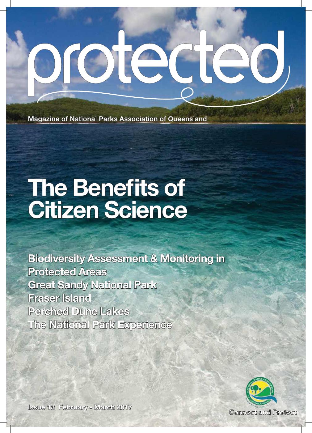Protected Issue 13 | PDF to Flipbook