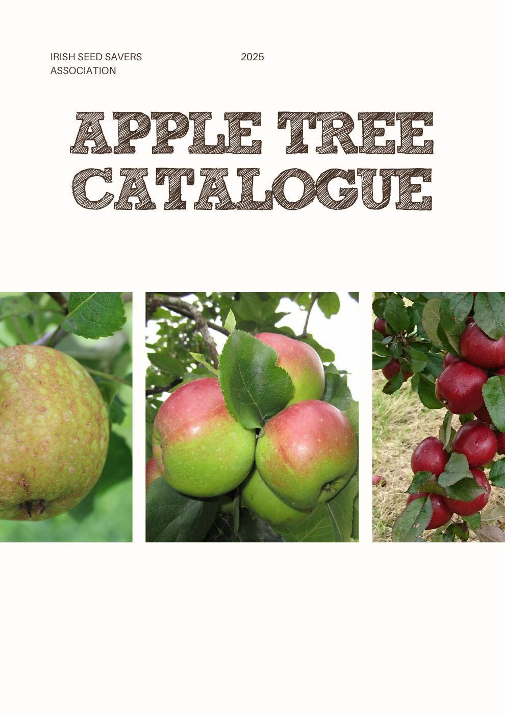 Apple Tree Catalogue | PDF to Flipbook