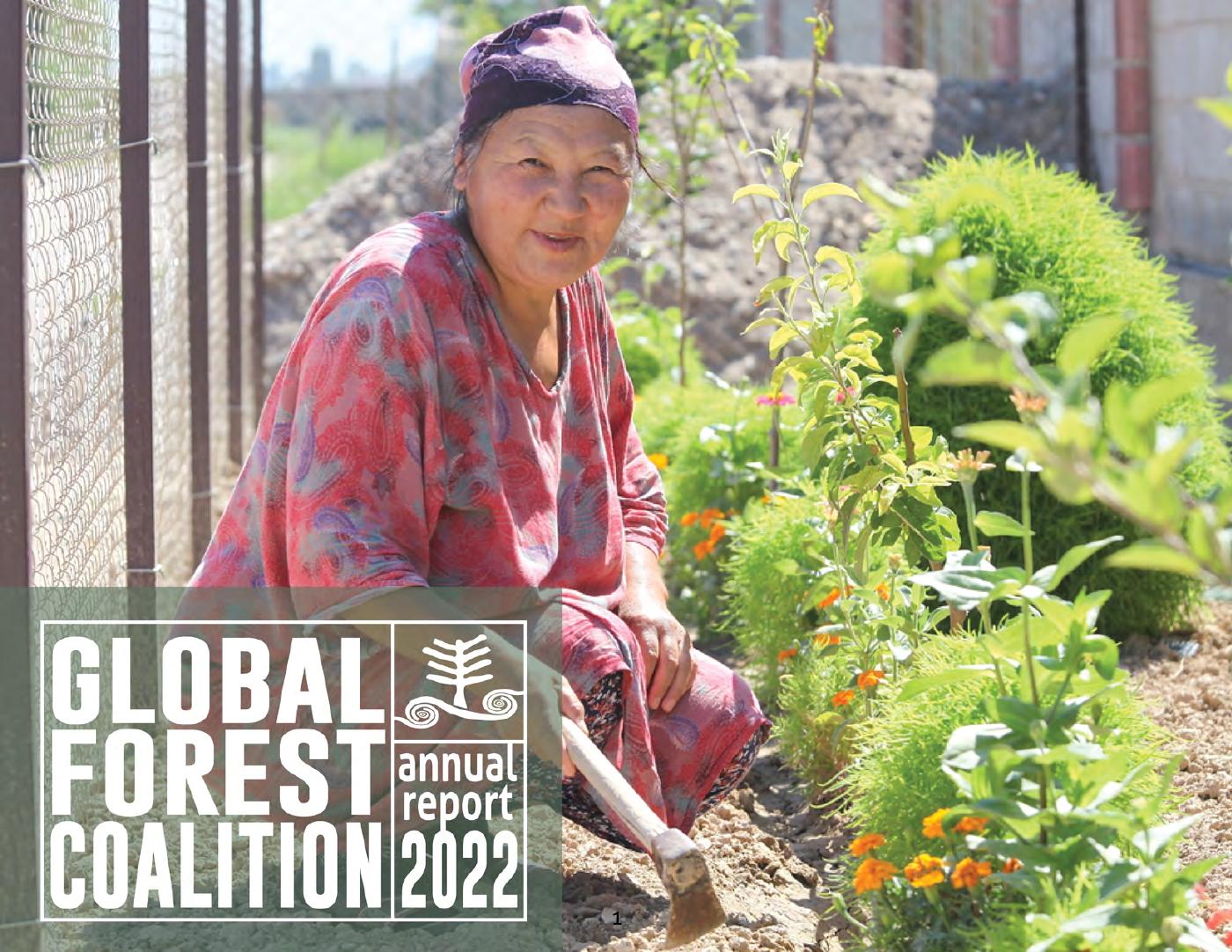 Global Forest Coalition Annual Report 2022 | PDF to Flipbook