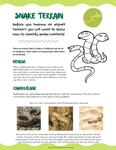 Snake Terrain Safety