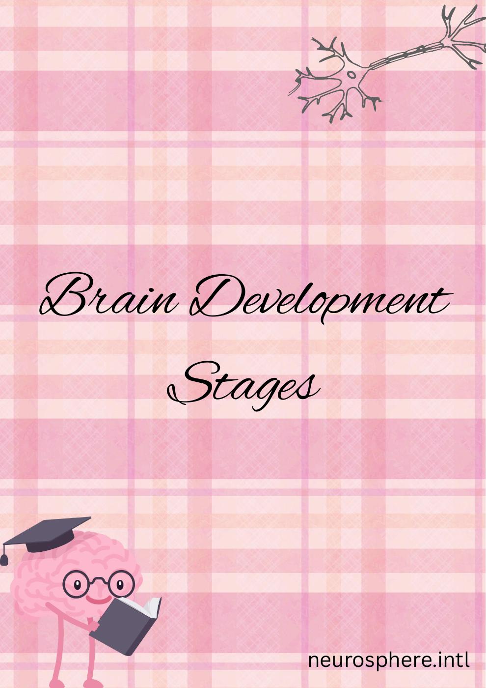Brain Stages Development | PDF to Flipbook