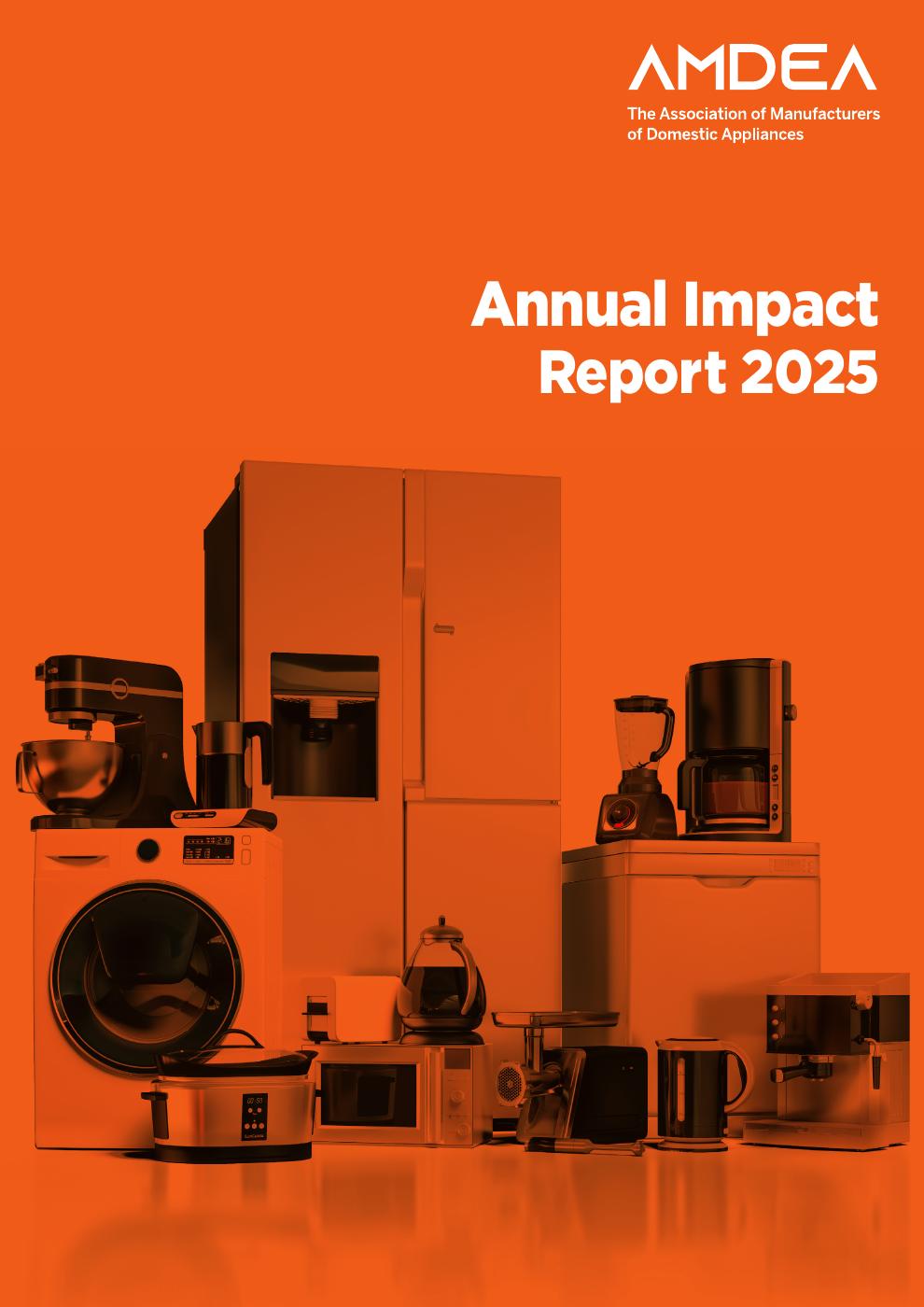 AMDEA Annual Impact Report 2025 | PDF to Flipbook