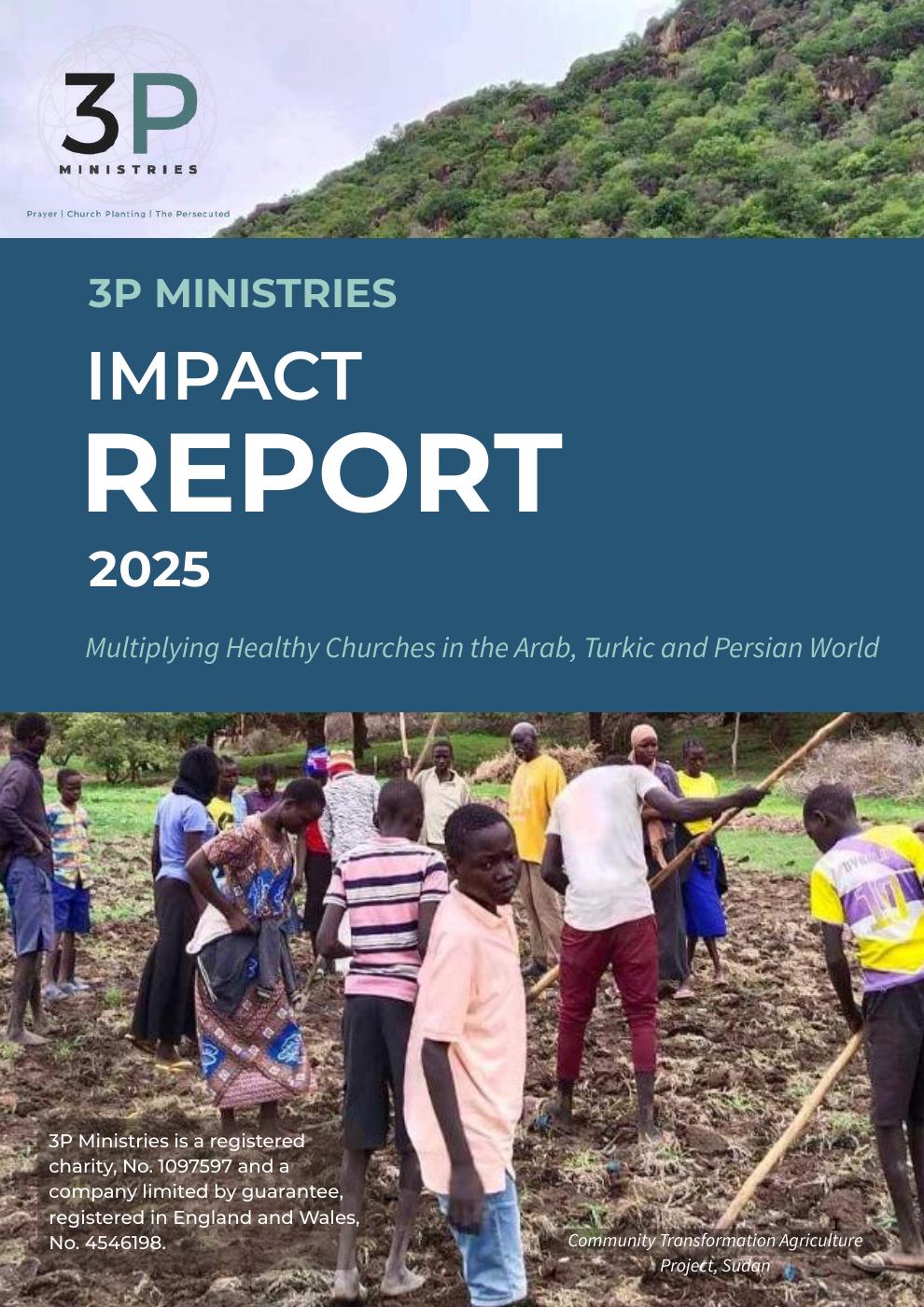3P 2025 Annual Report - website version | PDF to Flipbook