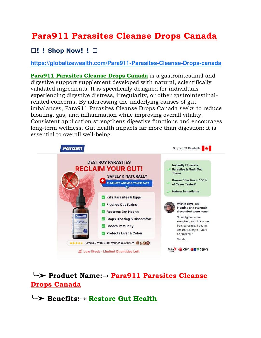 Online Flipbook