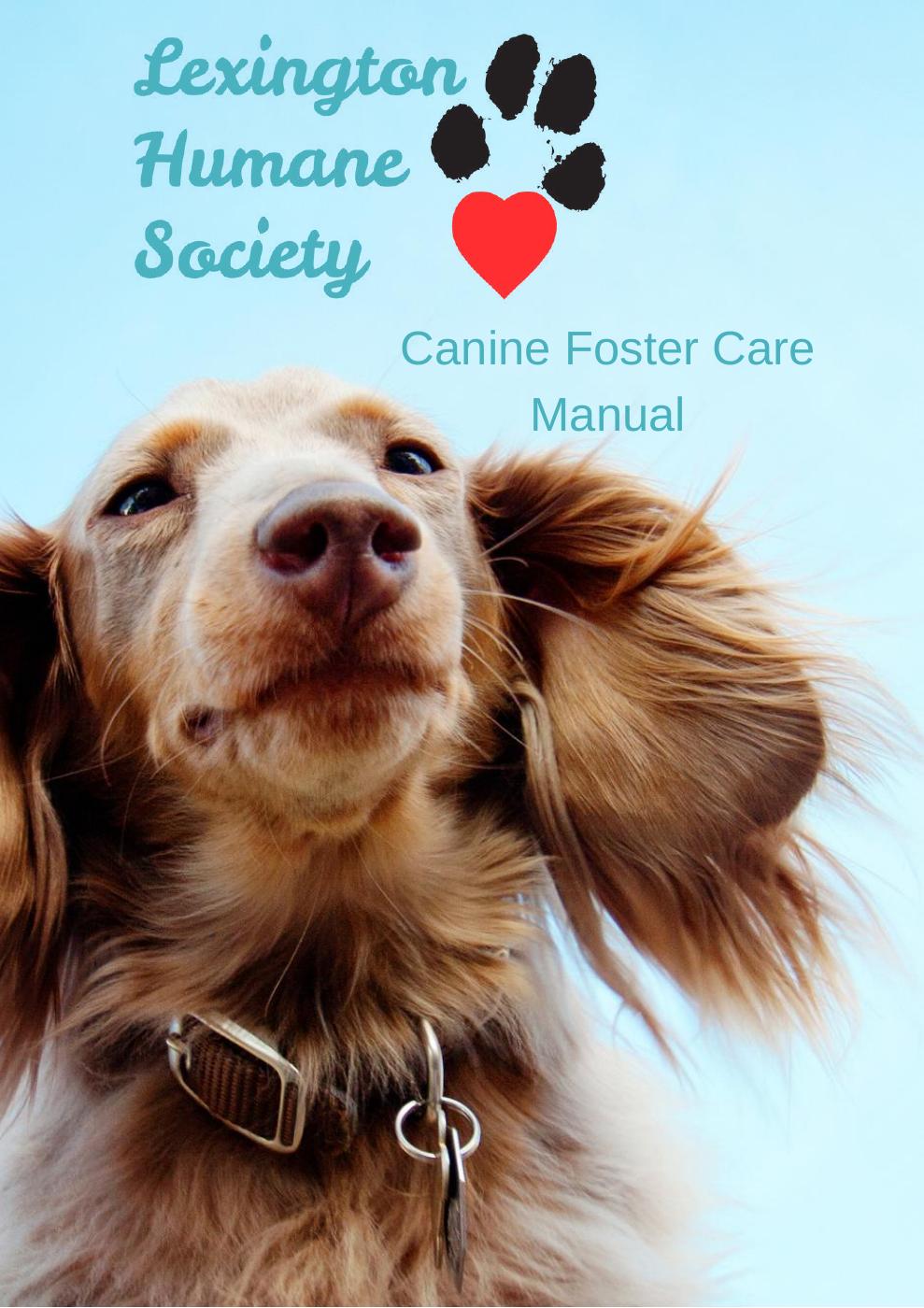 LHS Canine Foster Care Manual | PDF to Flipbook