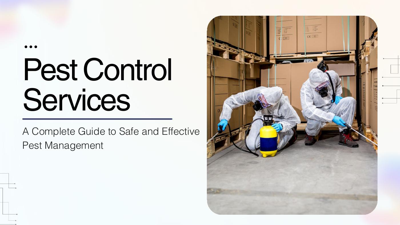 Pest Control Services: A Complete Guide to Safe and Effective Pest ...