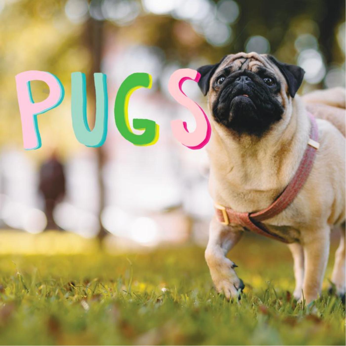Pugs