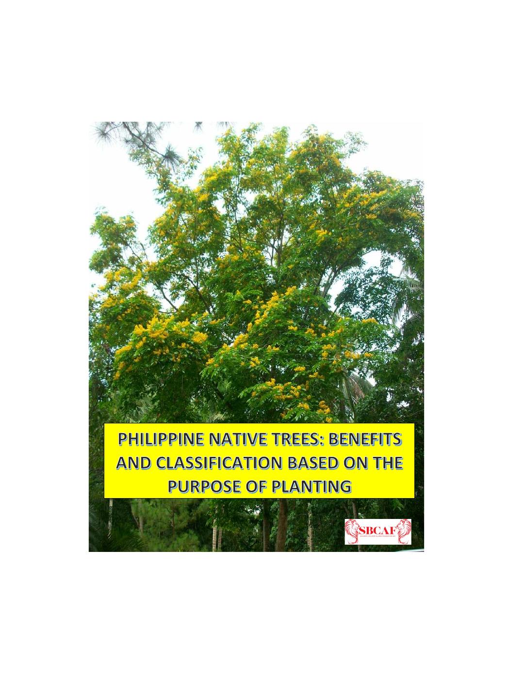 Philippine Native Trees: Benefits And Classification Based On The 