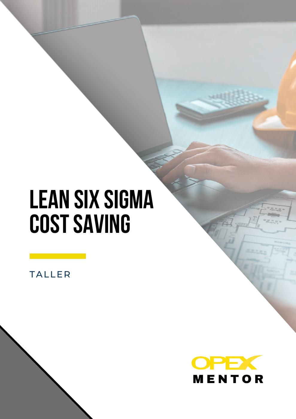 lean-six-sigma-cost-savings