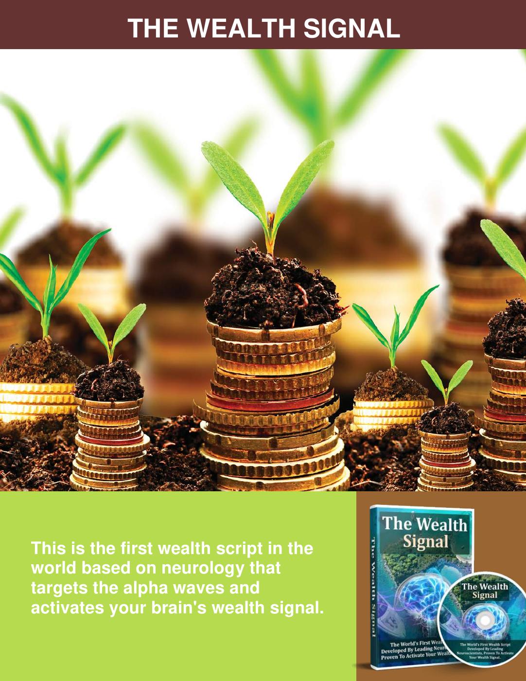The Wealth Signal 9 Words PDF