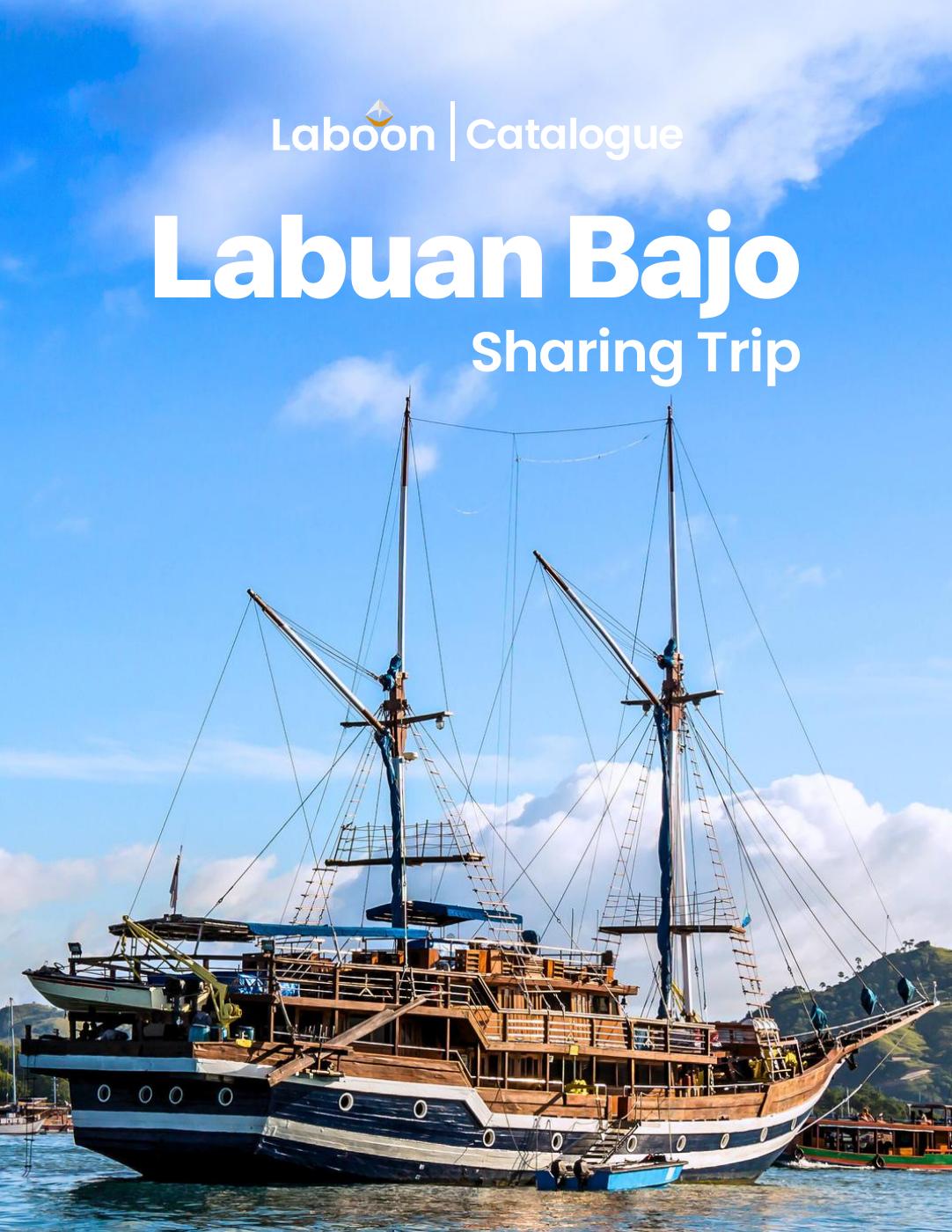 Labuan Bajo transportation options and costs