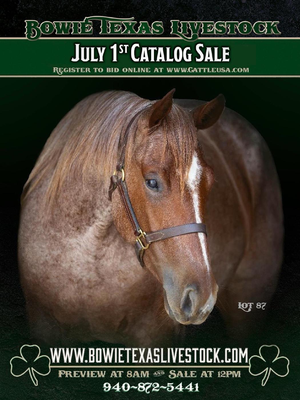 Bowie Horse SaleJuly 2023 Catalog PDF to Flipbook