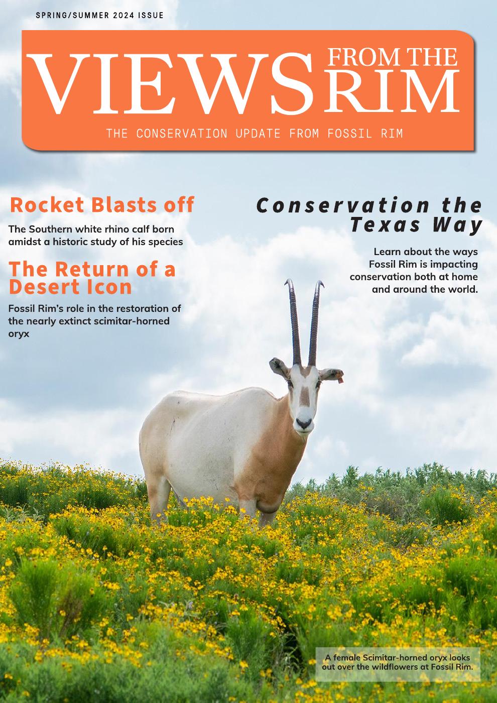Views from the Rim | PDF to Flipbook