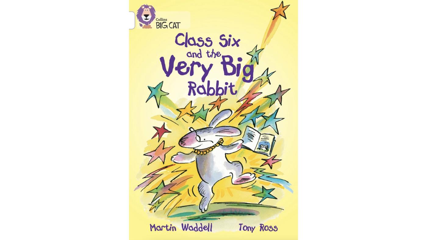Class Six and the Very Big Rabbit