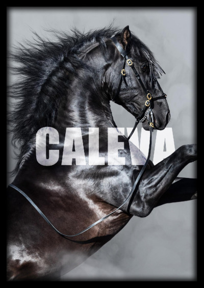 CALEVA