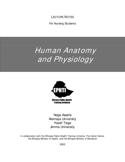 Human Anatomy And Physiology