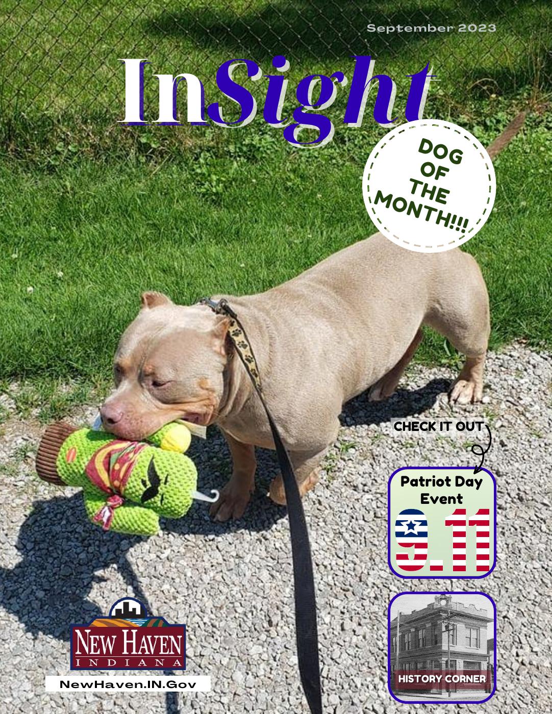 InSight Newsletter PDF to Flipbook