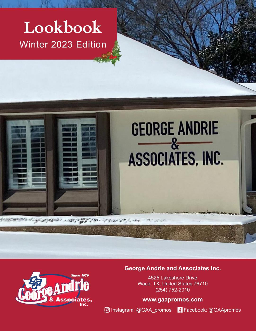 George Andrie and Associates Inc.