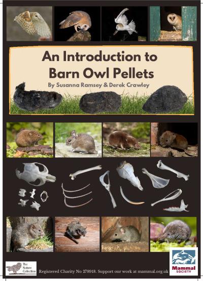 An Introduction To Barn Owl Pellets | PDF To Flipbook