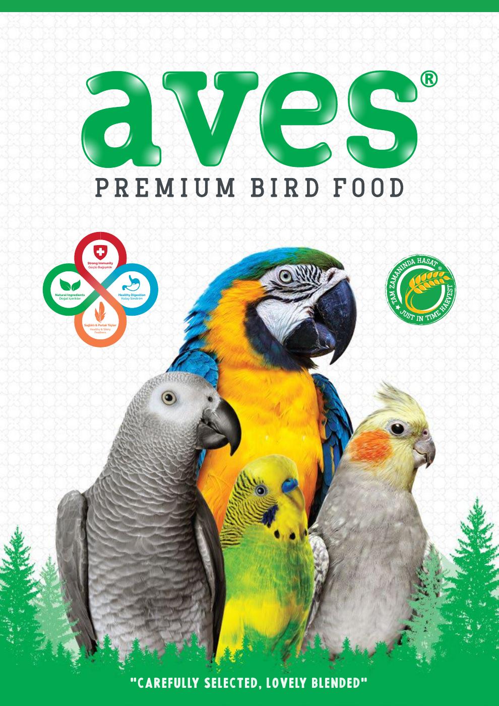 Aves