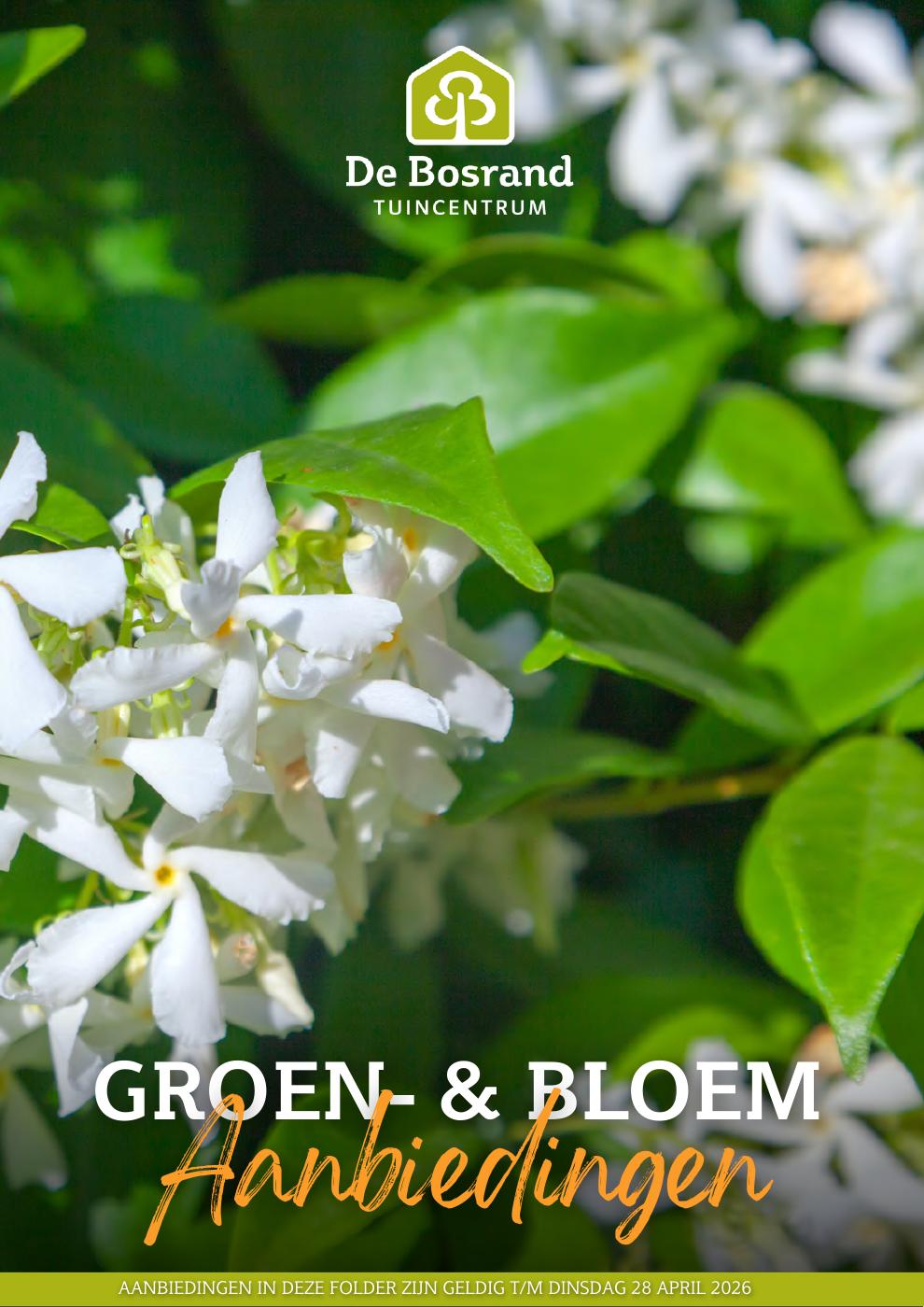 Online Flipbook