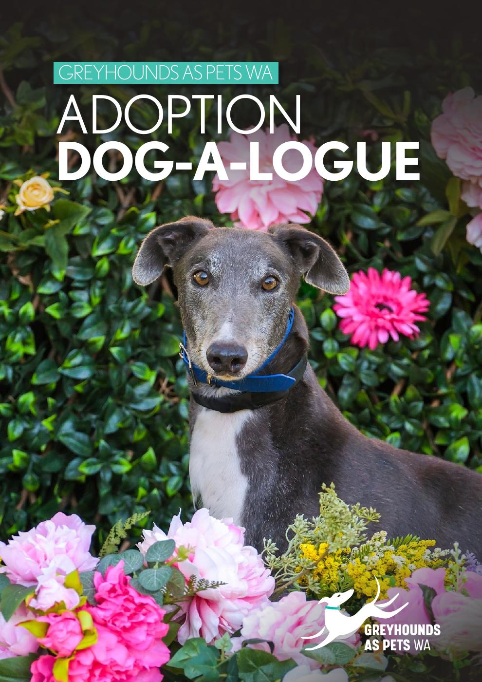 Spring Greyhound Dog-a-Logue | PDF to Flipbook