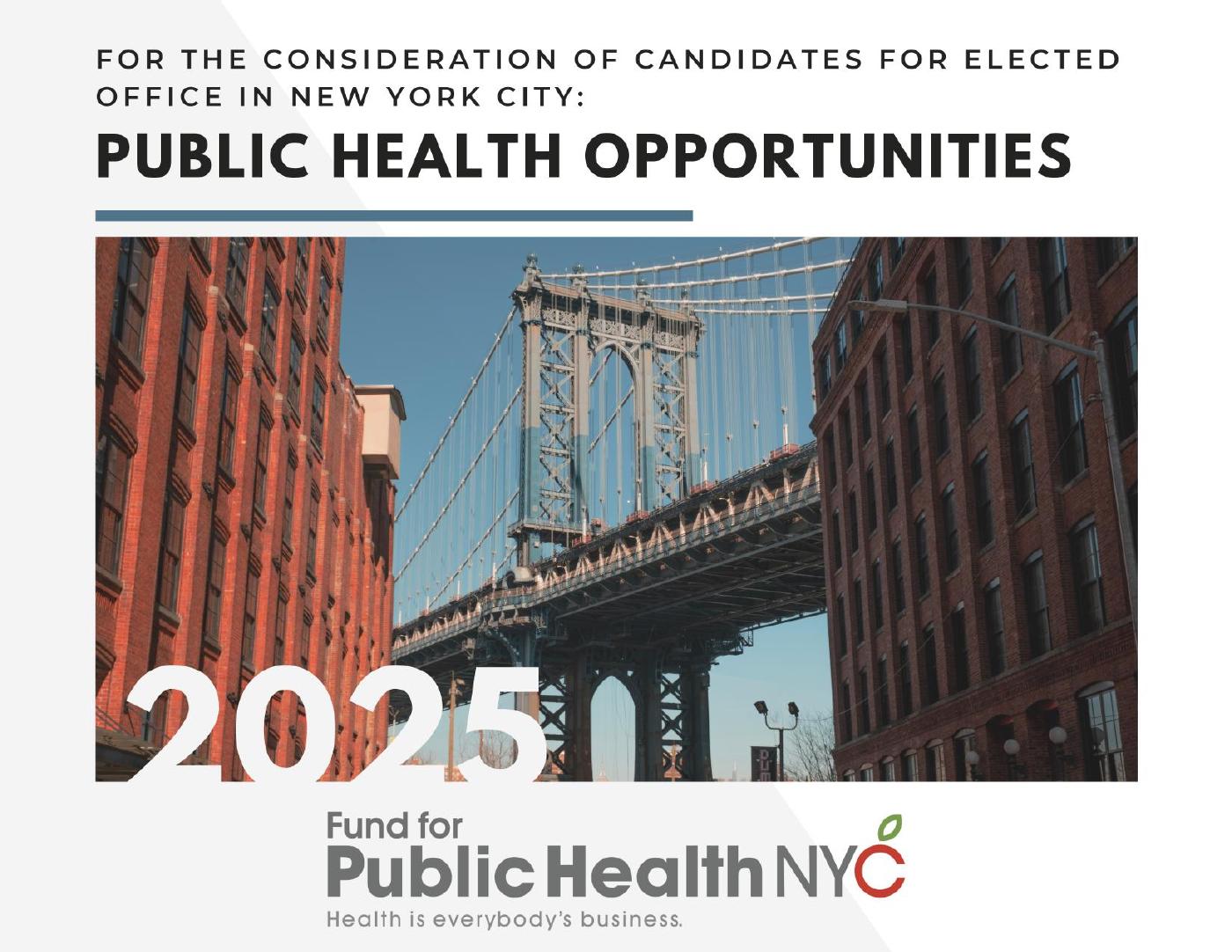 2025 election brief | PDF to Flipbook