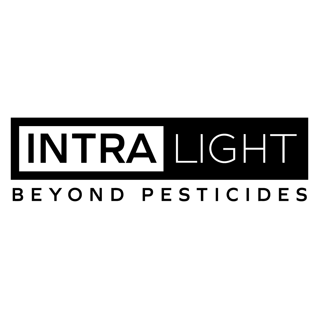 PDF to Flipbook