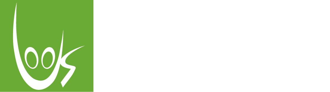 PDF to Flipbook