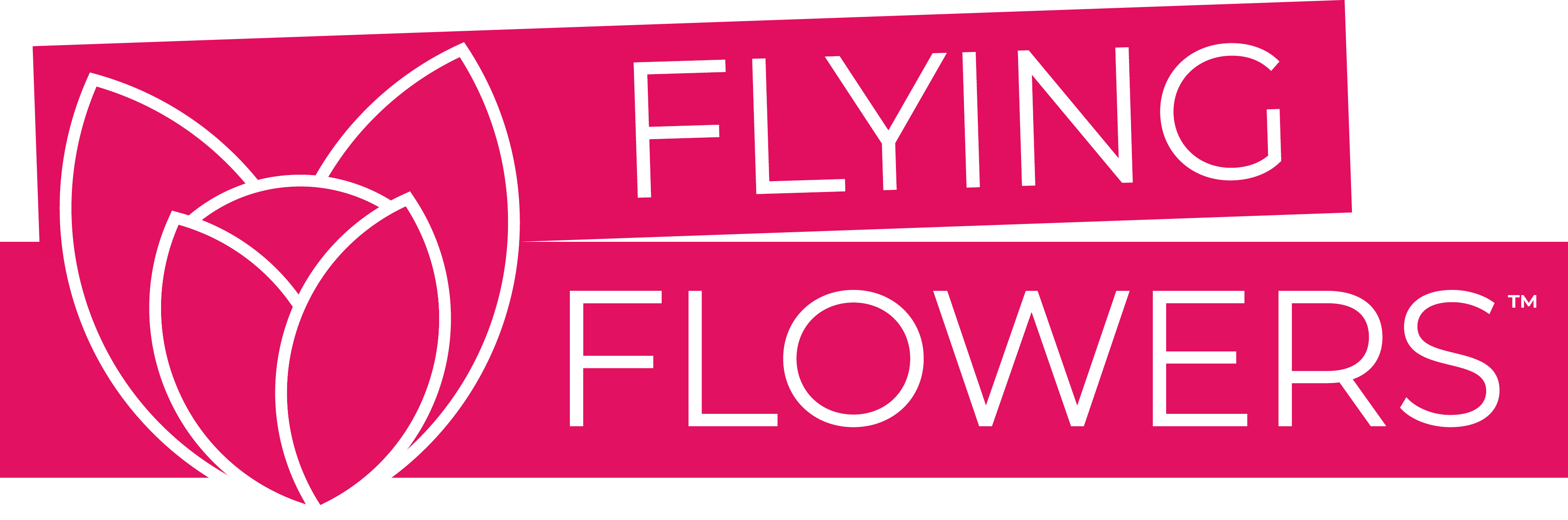 Flying Flowers Gift Guide 2022