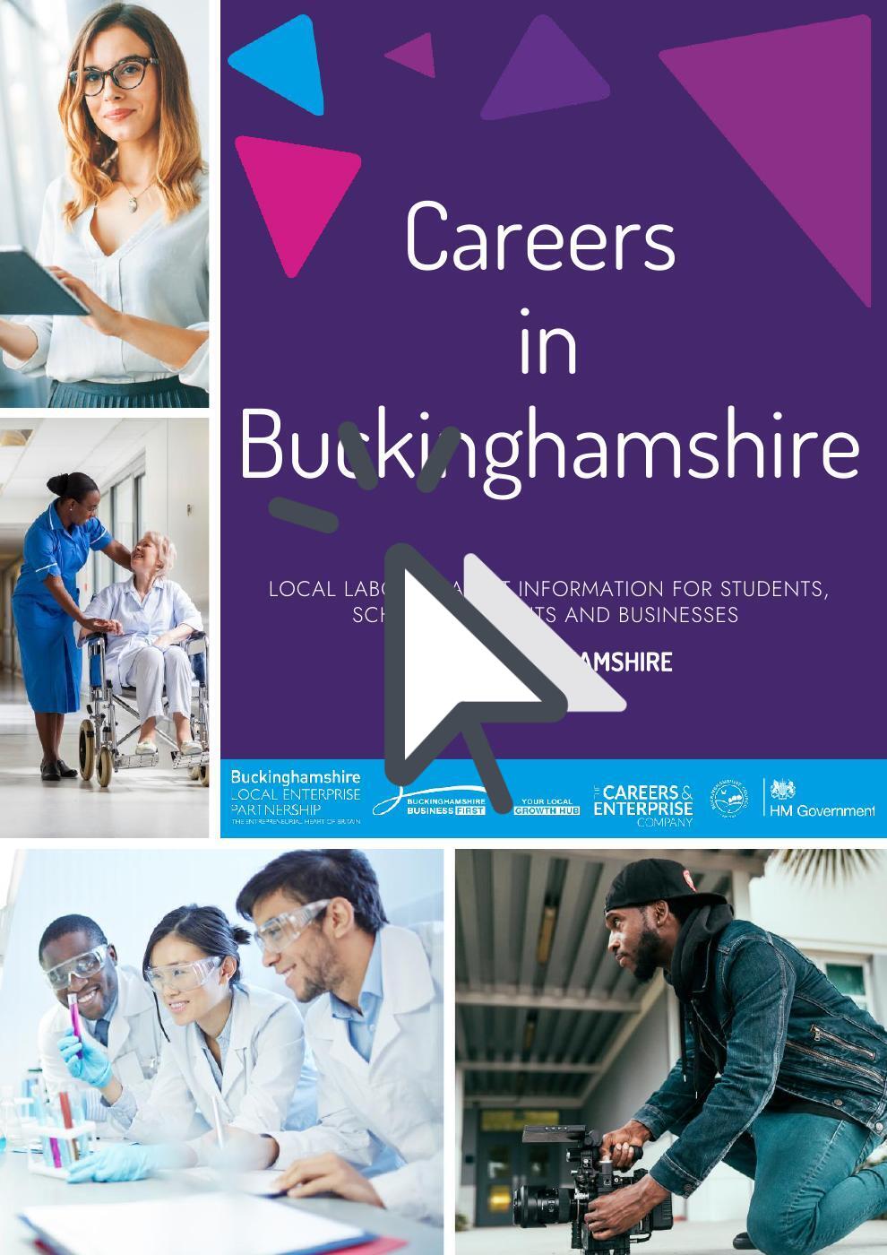 Bucks Skills Guide to LMI