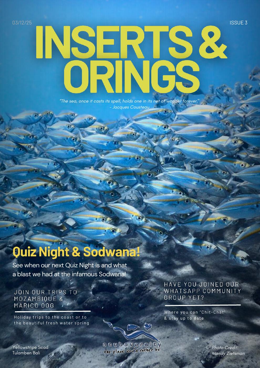 April 2025 Newsletter cover