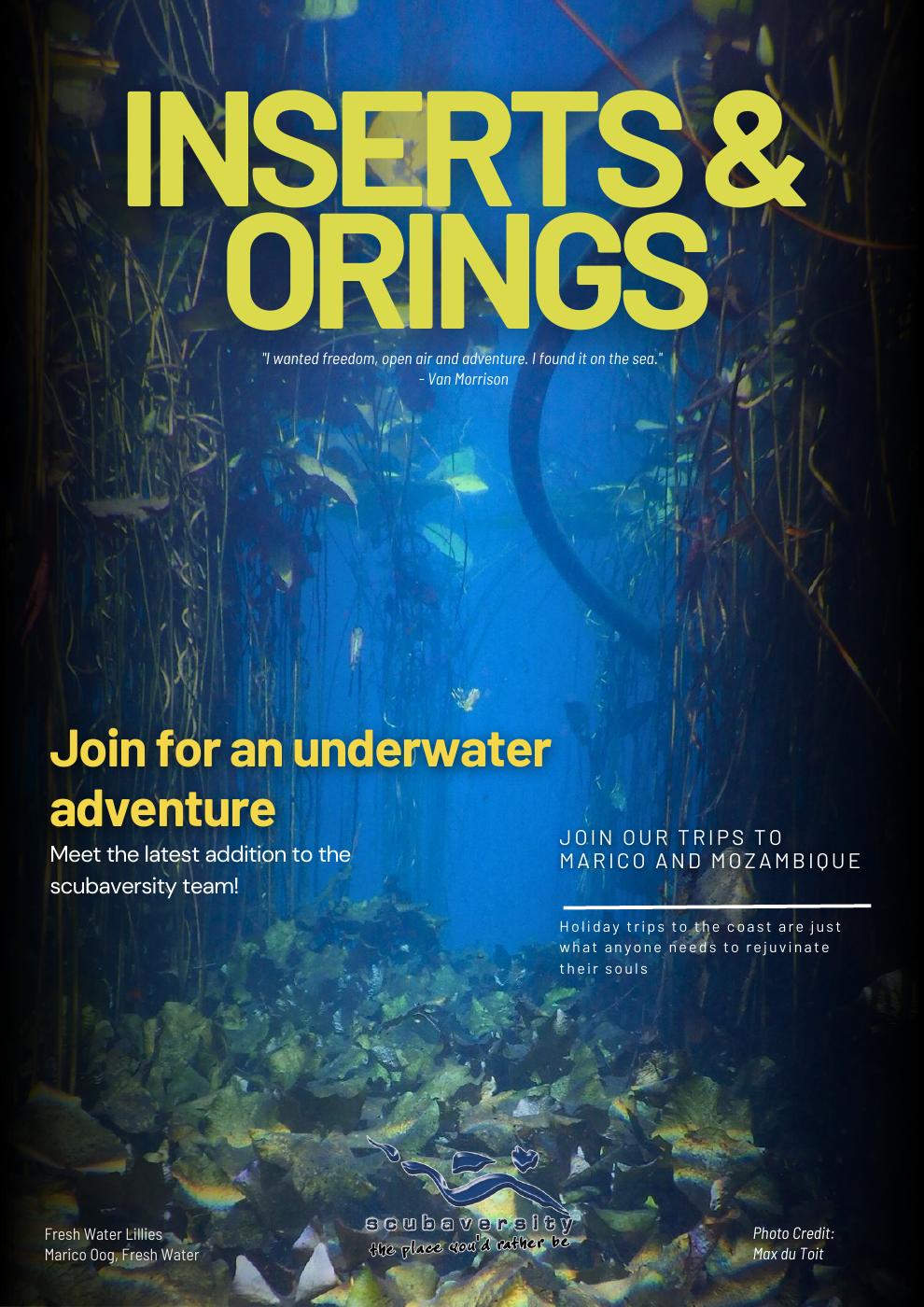 Inserts & O'Rings — October 2025 cover