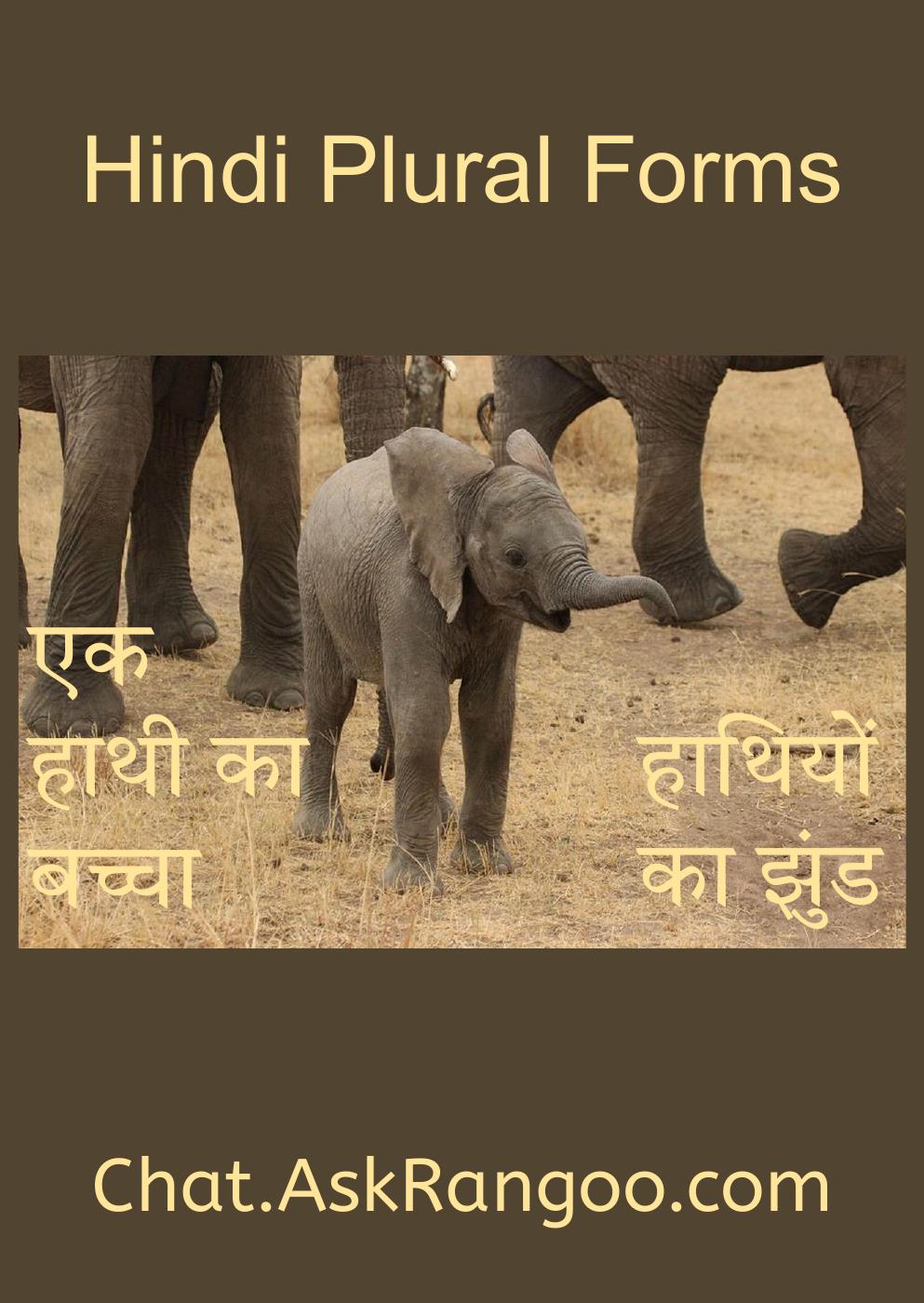 Leaf Meaning In Hindi Plural