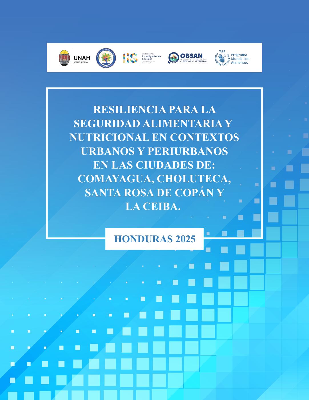Portada de la publicación SAN Resiliencia