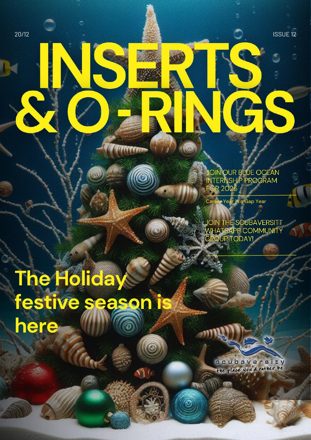December 2024 Newsletter cover