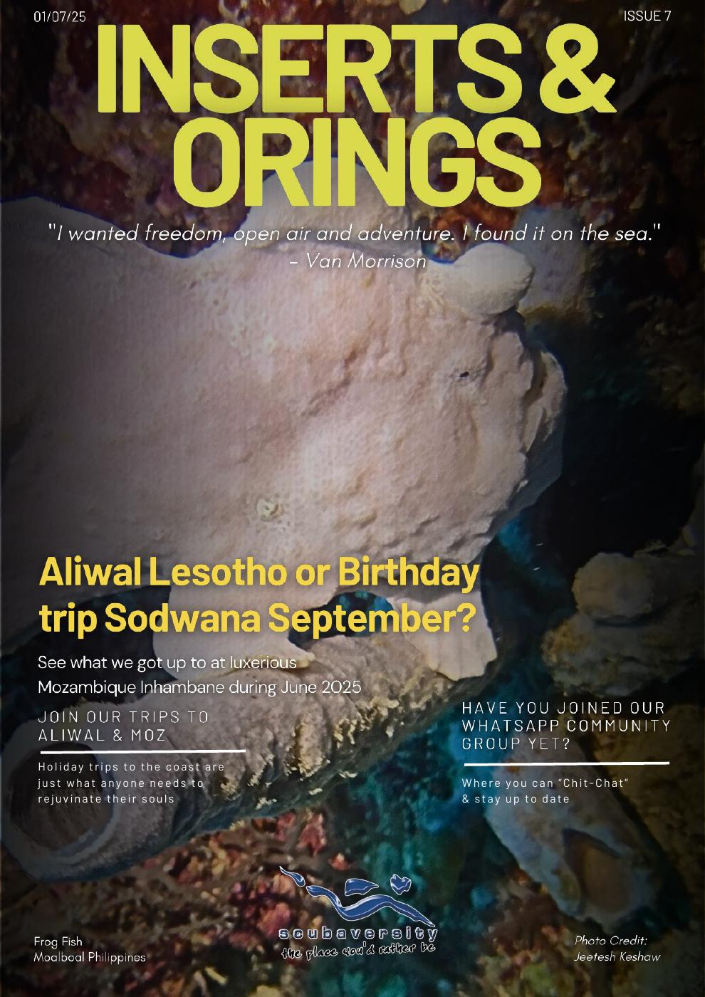 Inserts & O'Rings — July 2025 cover