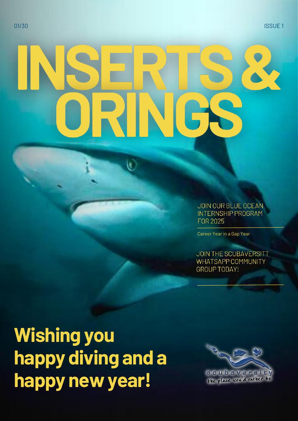 February 2025 Newsletter cover
