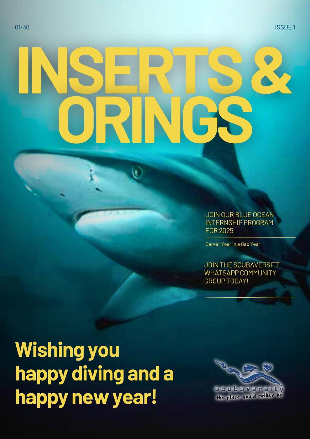 Inserts & O'Rings — February 2025 cover