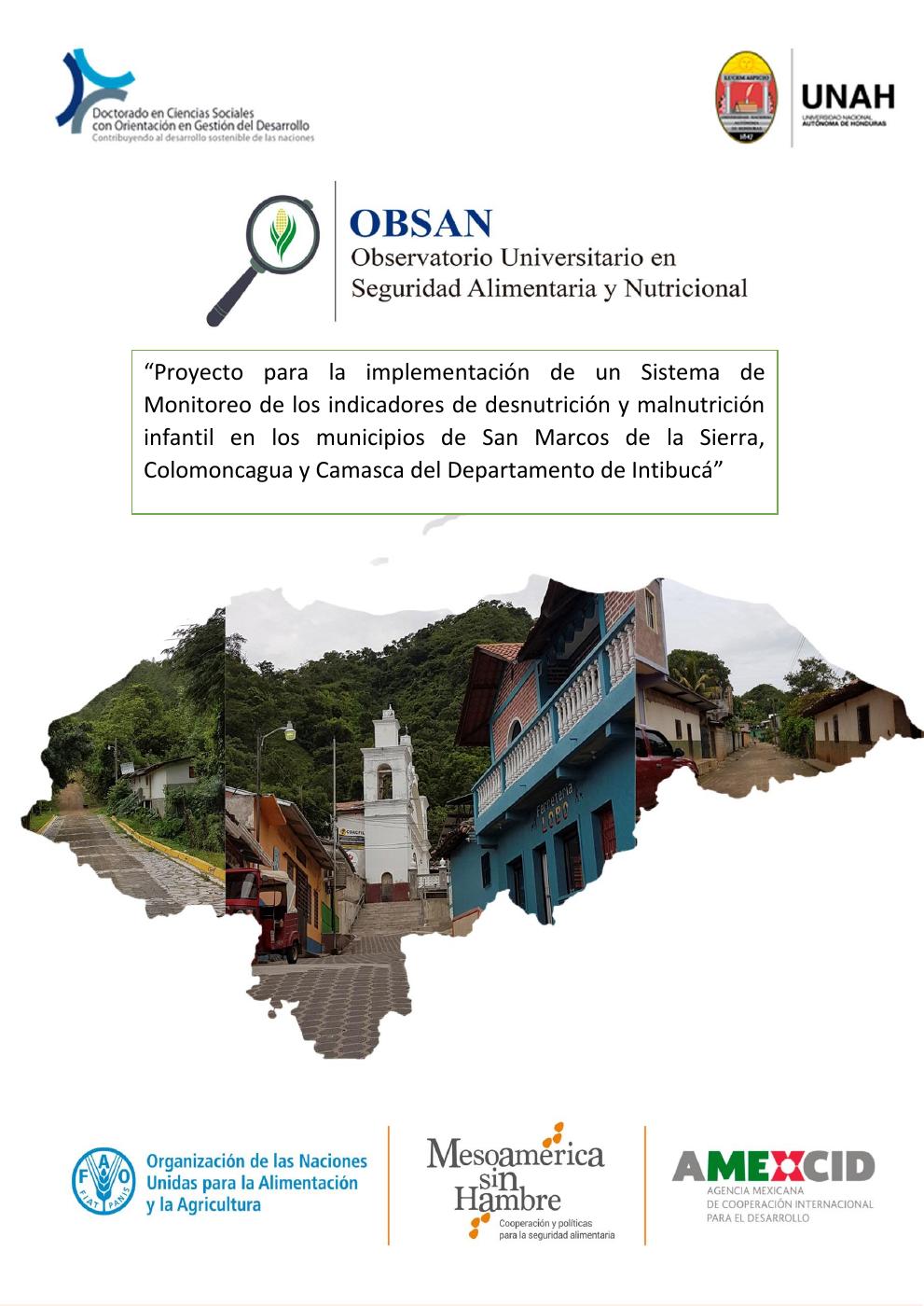 Portada de la publicación Sistema de Monitoreo de los indicadores de desnutrición y malnutrición infantil