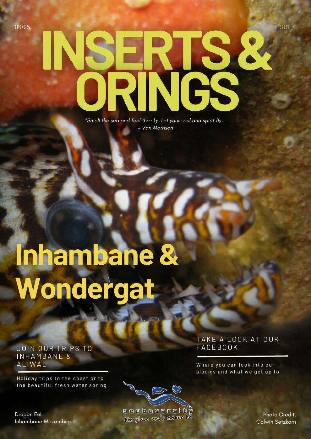 Inserts & O'Rings — May 2025 cover