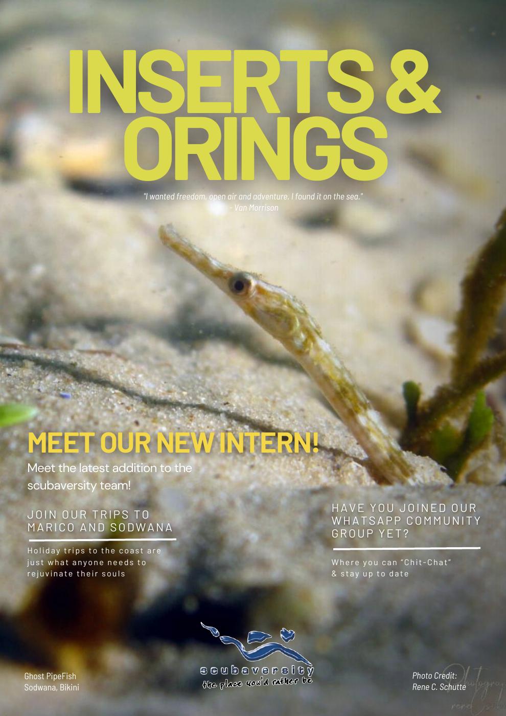 September Newsletter cover